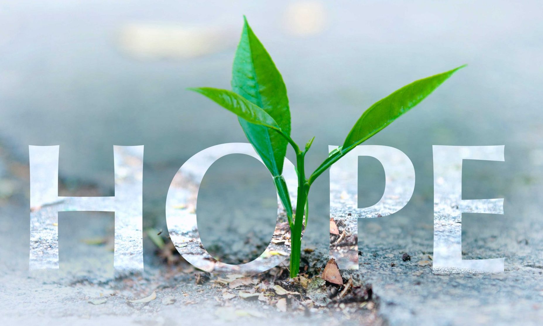 Against All Hope ... Believe In Hope - Walk With God